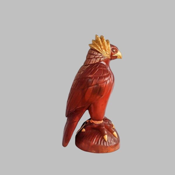Aguila Luminosa - Imagen 2