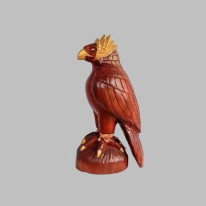 Aguila Luminosa