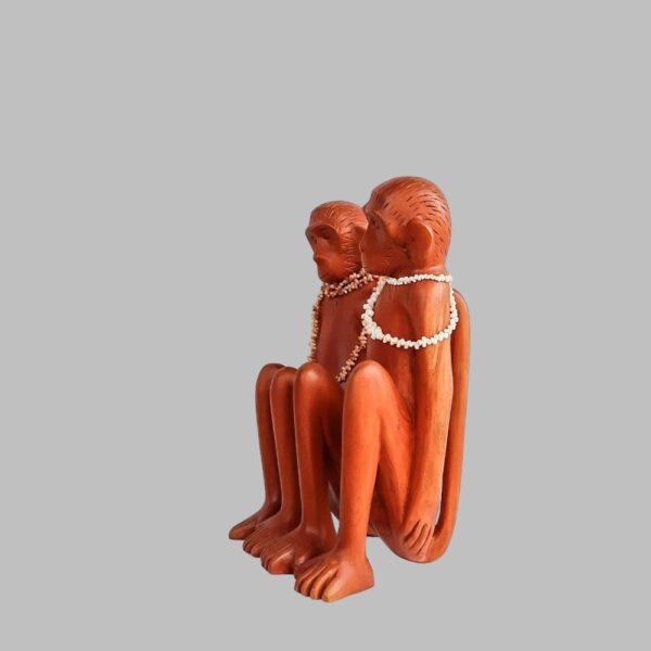 Monos Abrazados - Imagen 2