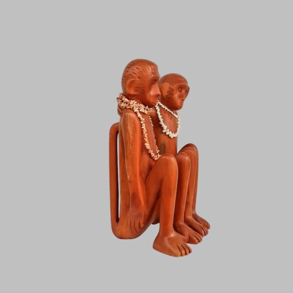 Monos Abrazados - Imagen 3